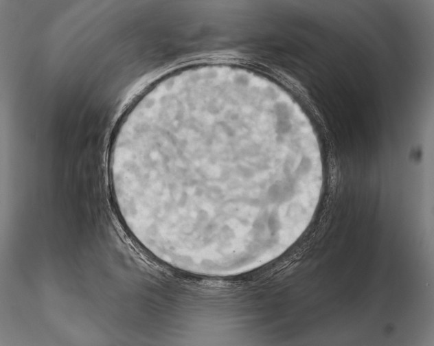 X0000114701176200912021101