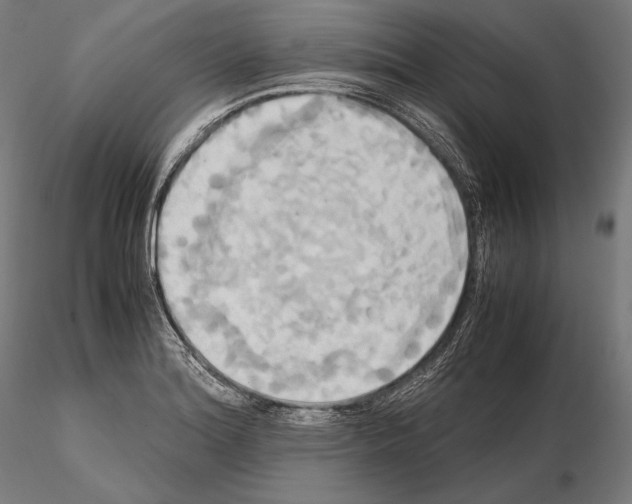 X0000114701180200912021101