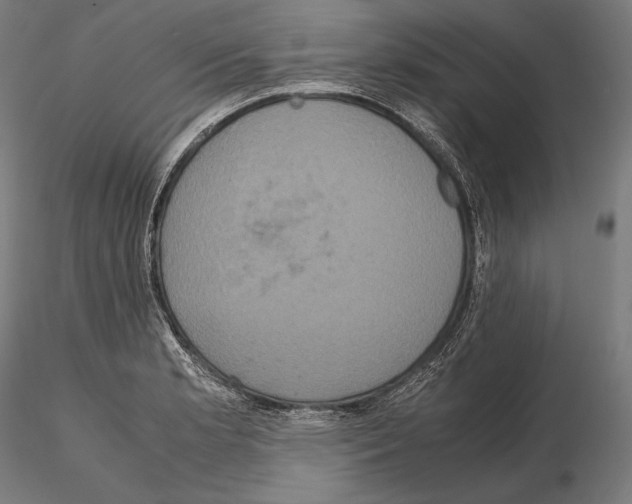 X0000114701181200912021101