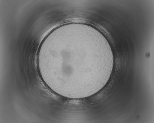 X0000114701182200912021101