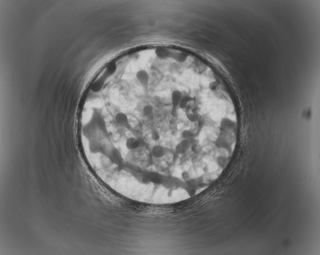 X0000114701183200912021101