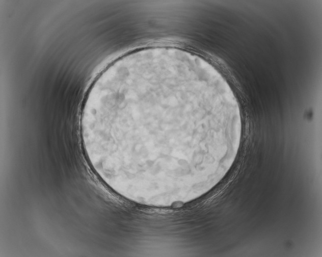 X0000114701184200912021101