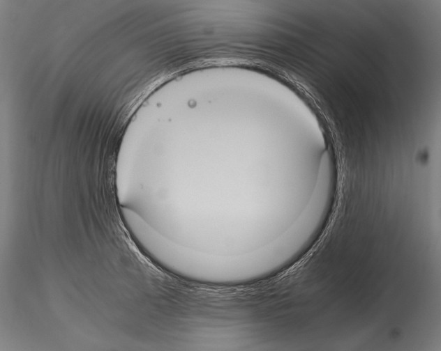 X0000114701185200912021101