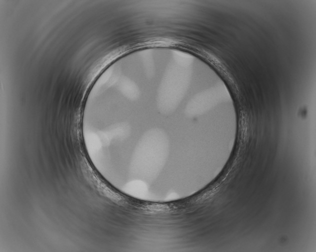 X0000114701186200912021101