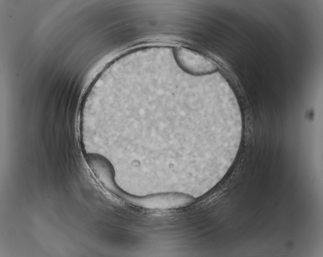 X0000114701188200912021101