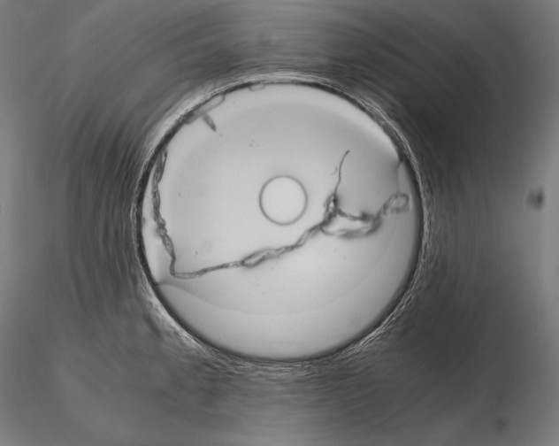 X0000114701189200912021101