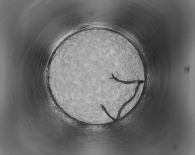 X0000114701190200912021101