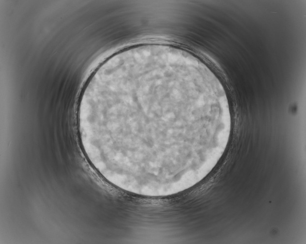 X0000114701192200912021101