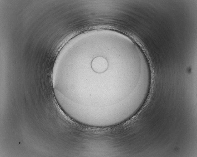 X0000114701193200912021101