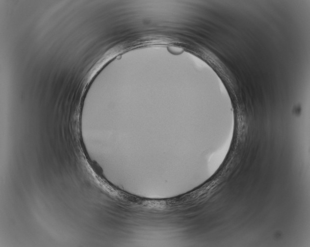 X0000114701194200912021101