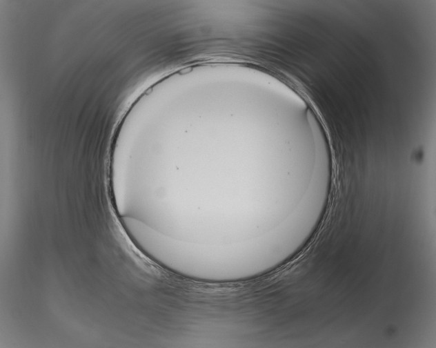 X0000114701195200912021101