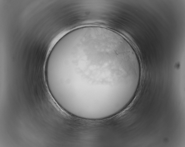 X0000114701196200912021101