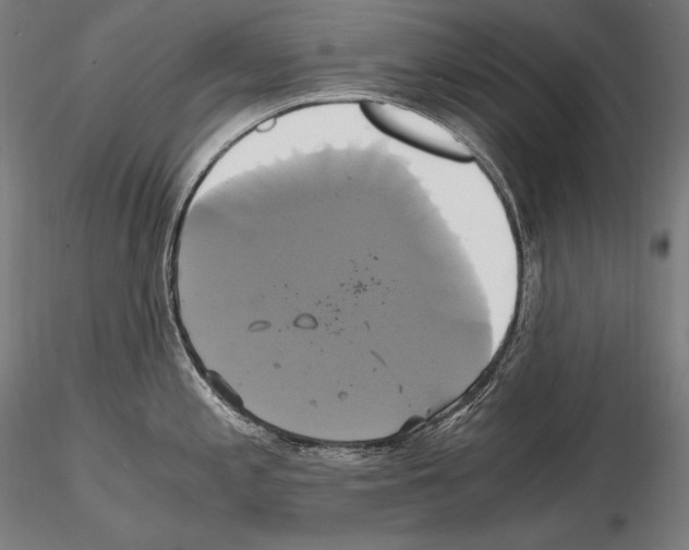 X0000114701197200912021101