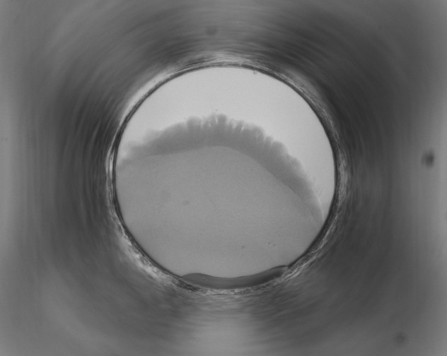 X0000114701198200912021101