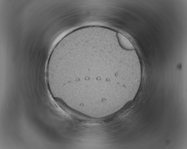 X0000114701199200912021101