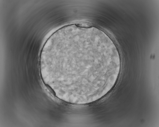 X0000114701200200912021101