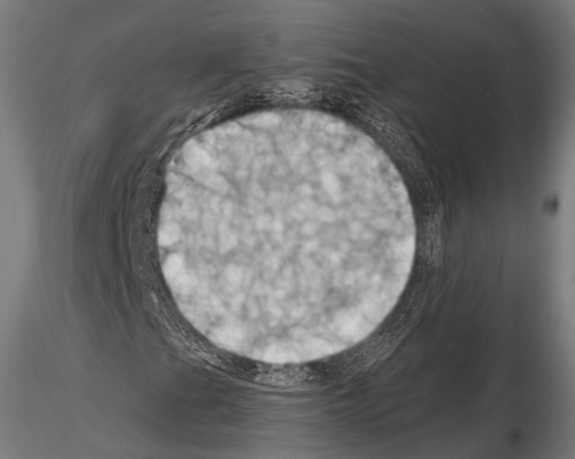 X0000114701201200912021100