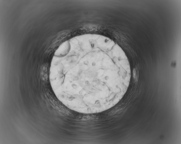 X0000114701203200912021100