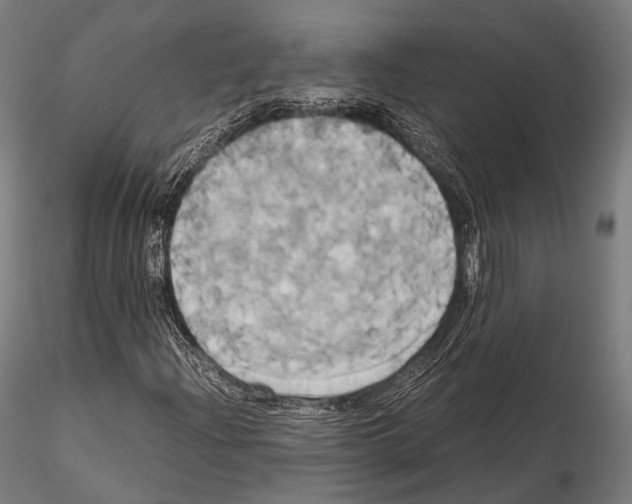 X0000114701204200912021100