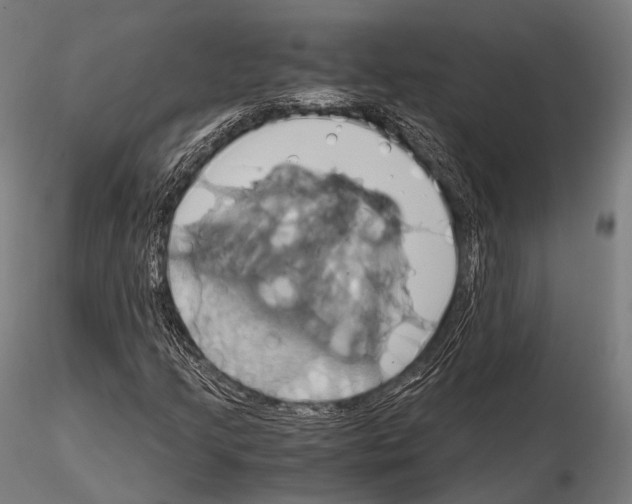 X0000114701205200912021100