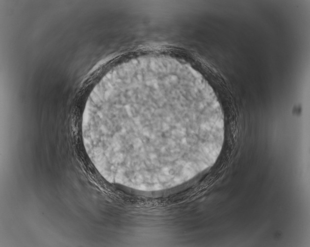 X0000114701206200912021100