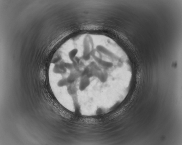 X0000114701209200912021100