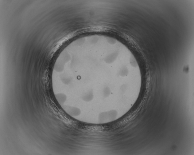 X0000114701210200912021100