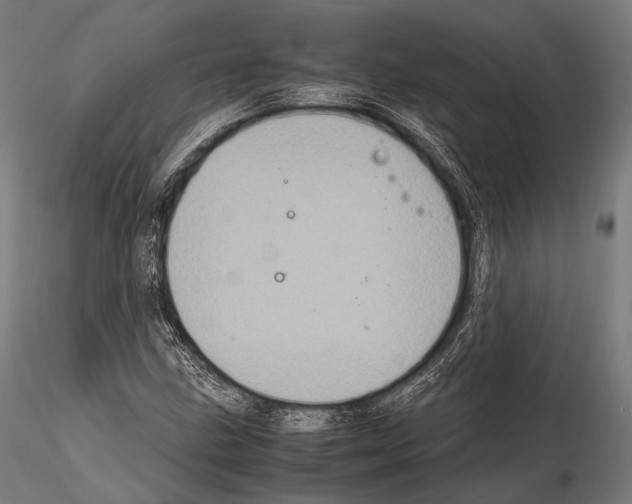 X0000114701211200912021100