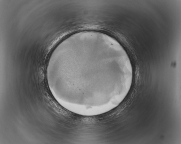 X0000114701212200912021100