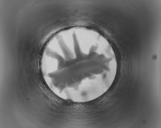 X0000114701214200912021100