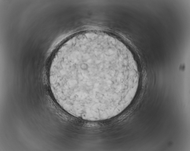 X0000114701215200912021100