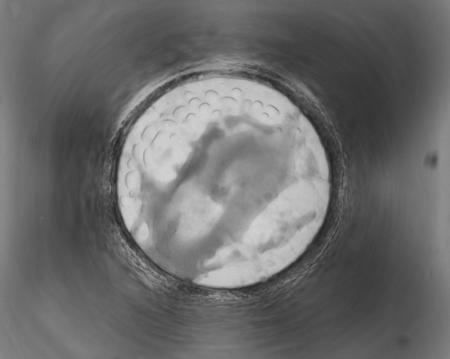 X0000114701216200912021100