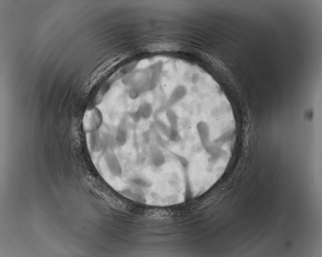 X0000114701217200912021100