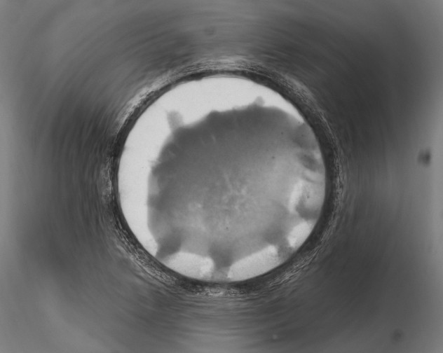 X0000114701218200912021100