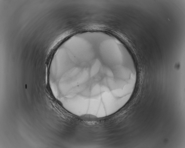 X0000114701219200912021100