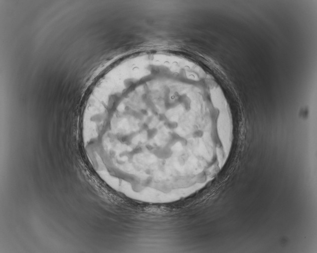 X0000114701220200912021101