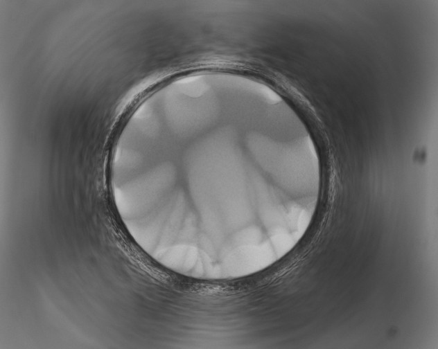 X0000114701222200912021101