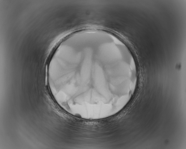 X0000114701223200912021101