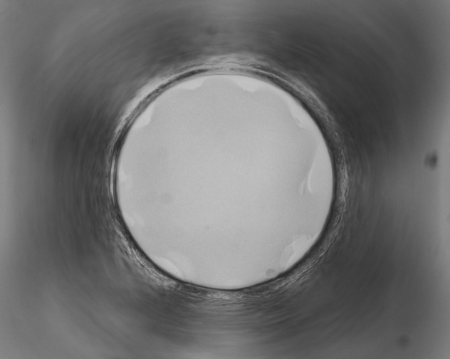 X0000114701224200912021101