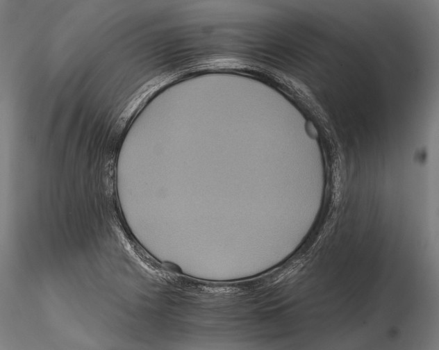 X0000114701225200912021101