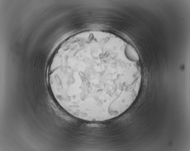 X0000114701227200912021101