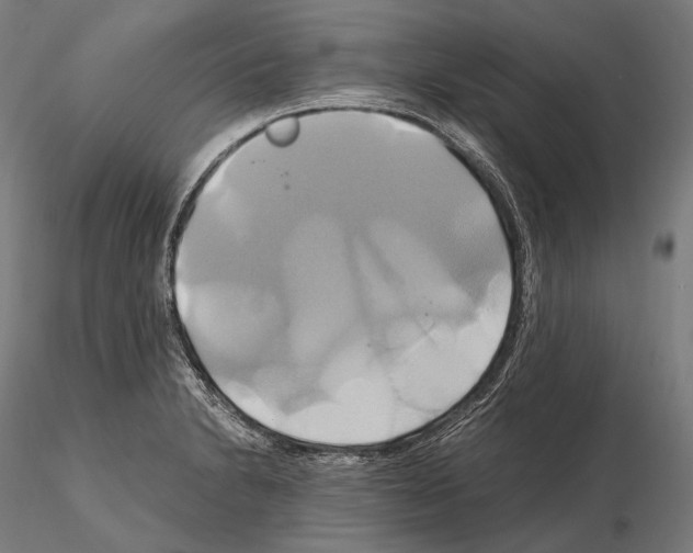 X0000114701230200912021101