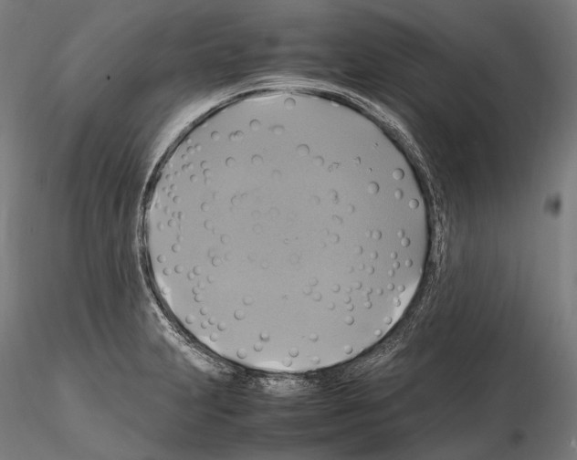 X0000114701231200912021101