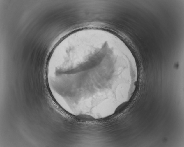 X0000114701232200912021101