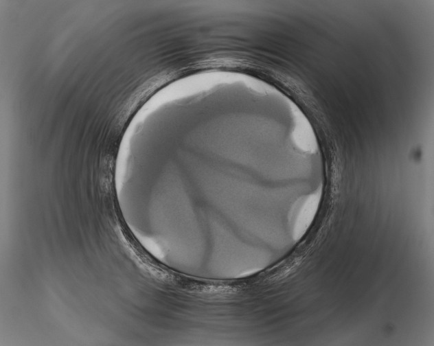 X0000114701233200912021101