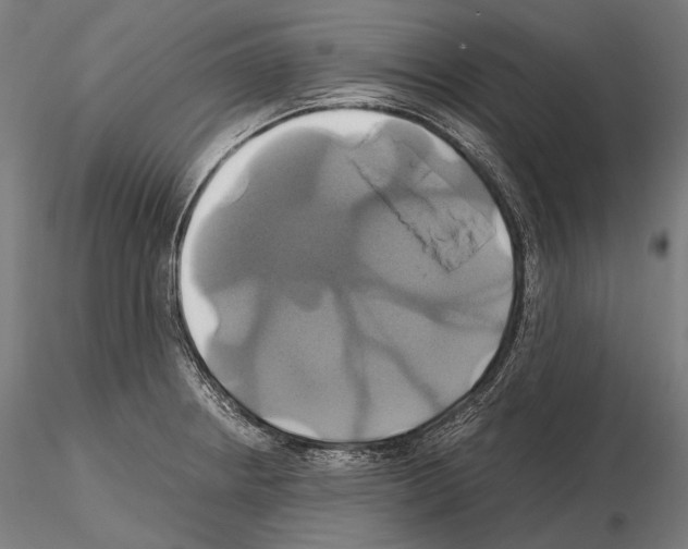 X0000114701234200912021101