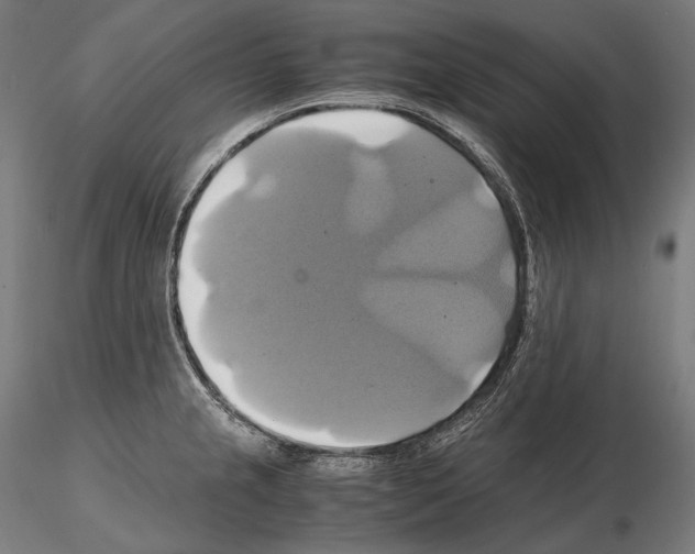 X0000114701237200912021101