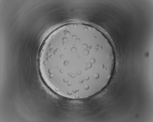 X0000114701239200912021101