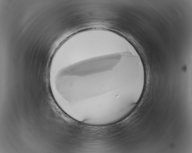 X0000114701240200912021101