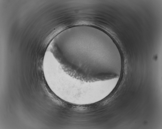 X0000114701241200912021101